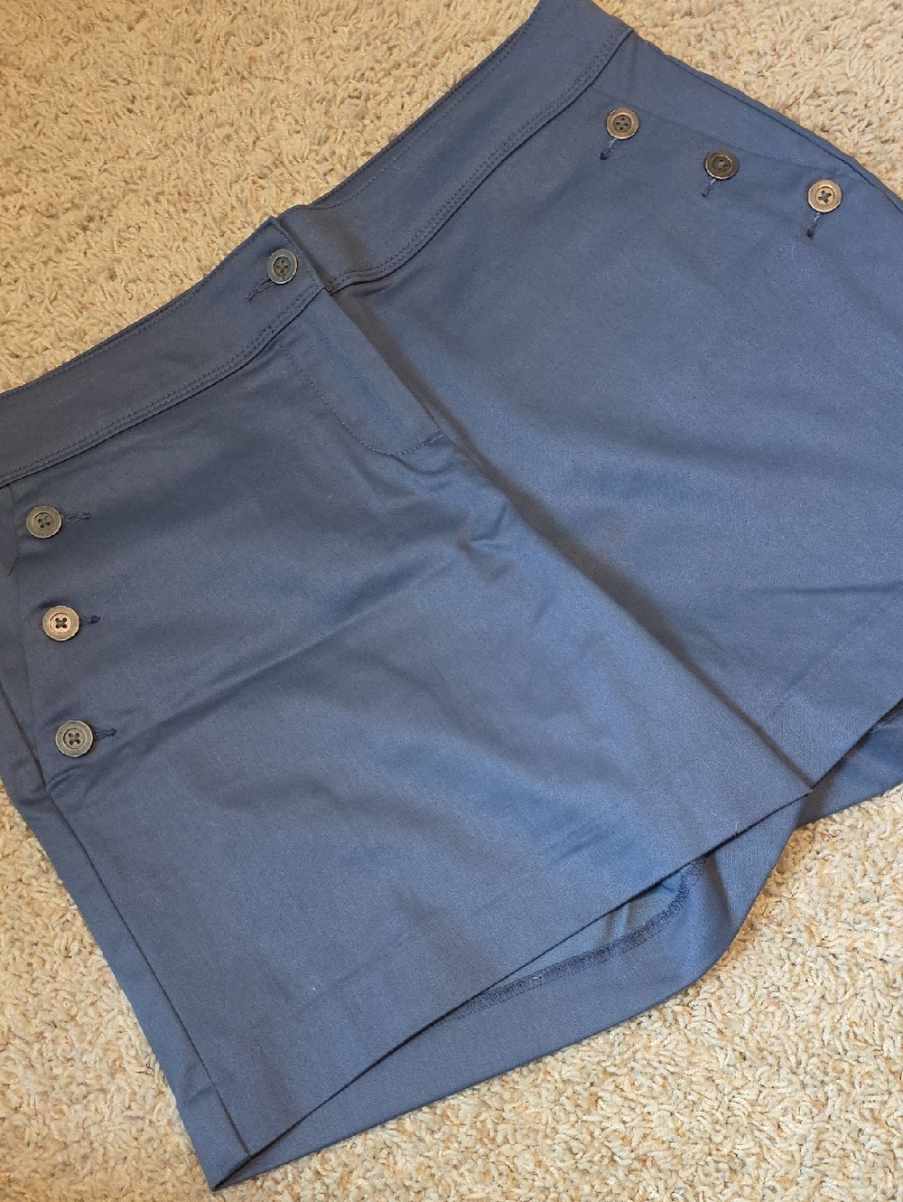 Isaac Mizrahi Blue Shorts Size 14
